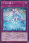 DBSS-JP026 六花の薄氷 N