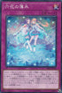 DBSS-JP026 六花の薄氷 N