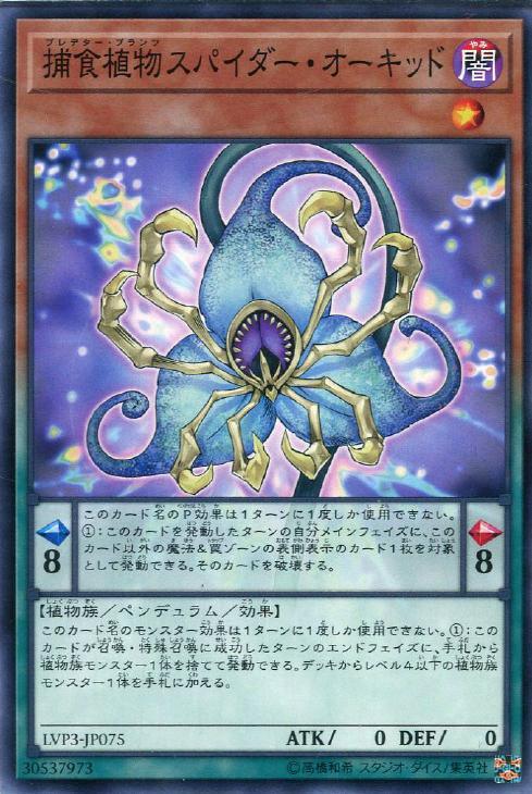 LVP3-JP075 捕食植物スパイダー・オーキッド N