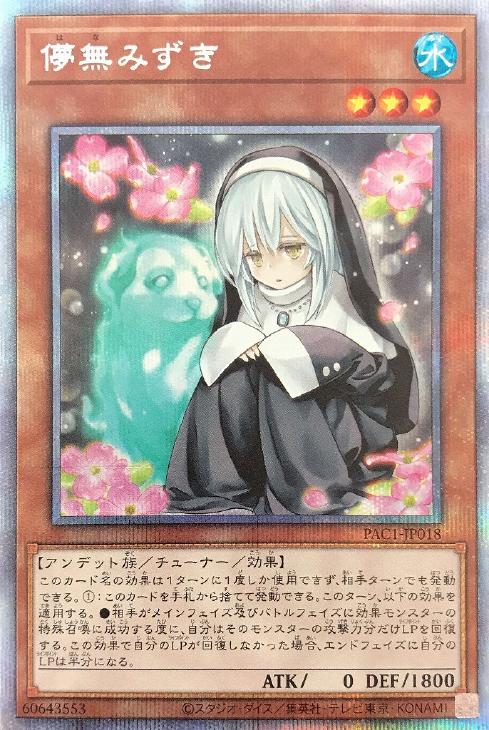 PAC1-JP018 儚無みずき PSE