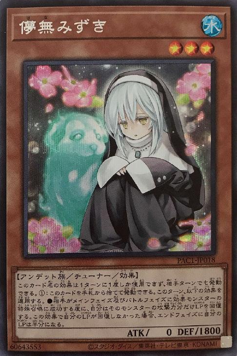 PAC1-JP018 儚無みずき SE