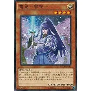 SD39-JP019 電光－雪花－ N