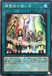 SD39-JPP05 精霊術の使い手 SR