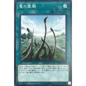 SR11-JP030 竜の霊廟 N