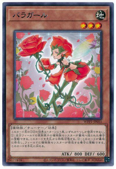 WPP1-JP055 バラガール R