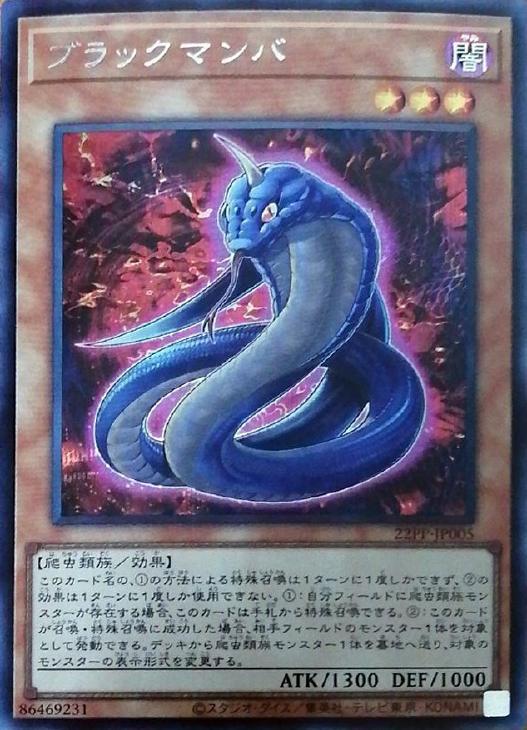 22PP-JP005 ブラックマンバ SE