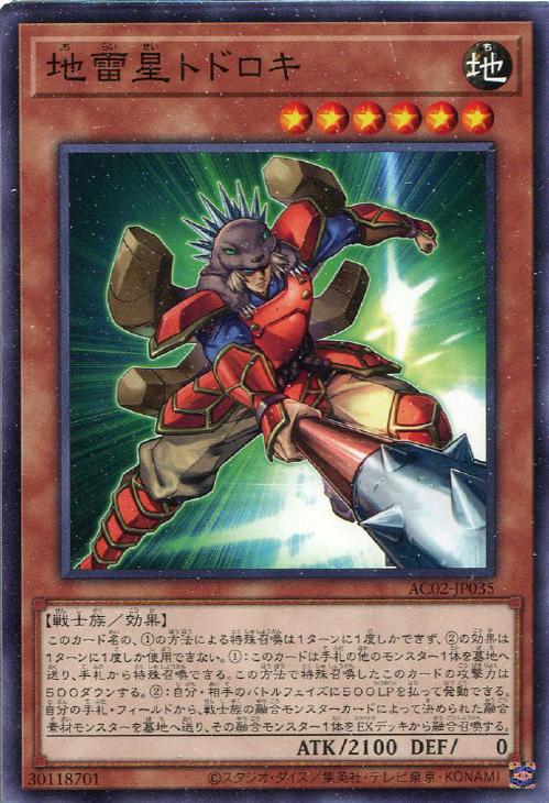 AC02-JP035 地雷星トドロキ N