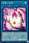 BODE-JP065 聖蔓の播種 N