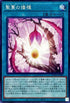 BODE-JP065 聖蔓の播種 N