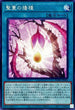 BODE-JP065 聖蔓の播種 N
