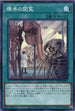 CP20-JP013 標本の閲覧 N
