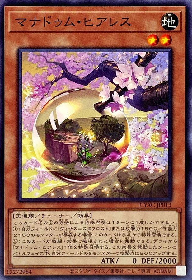 CYAC-JP013 マナドゥム・ヒアレス N