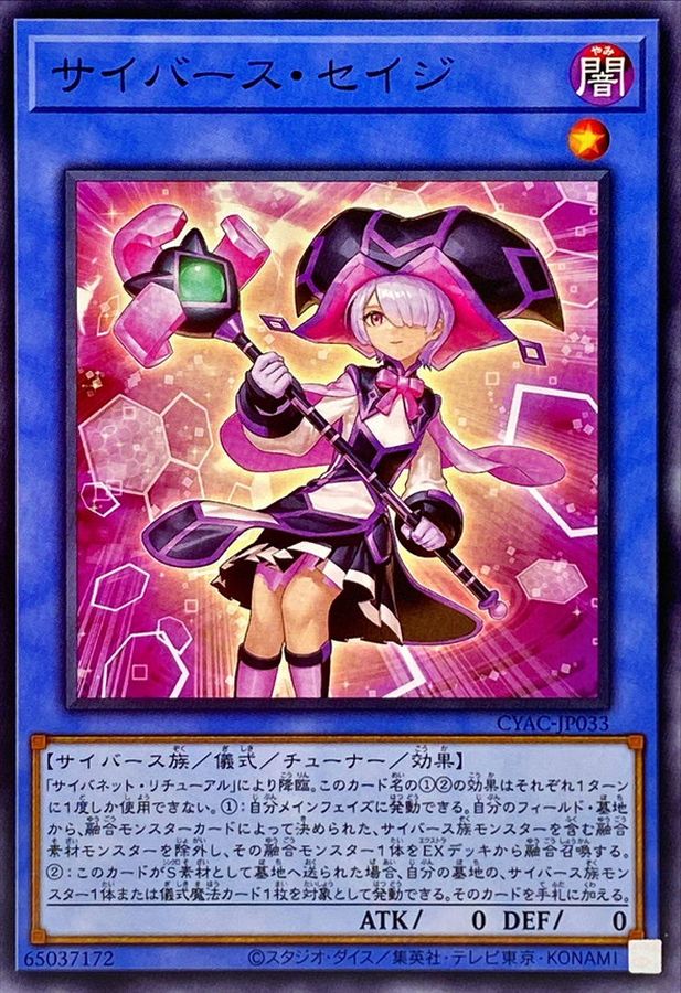 CYAC-JP033 サイバース・セイジ N