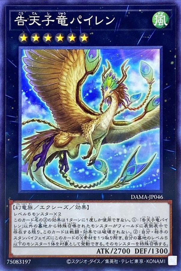 DAMA-JP046 告天子竜パイレン N