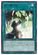 DAMA-JP065 高尚儀式術 R