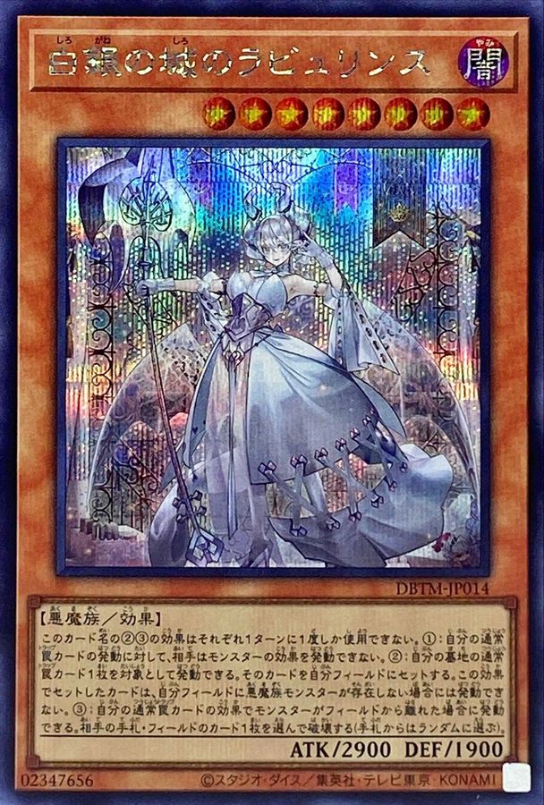 DBTM-JP014 白銀の城のラビュリンス SE