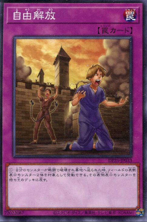 DP25-JP033 自由解放 N