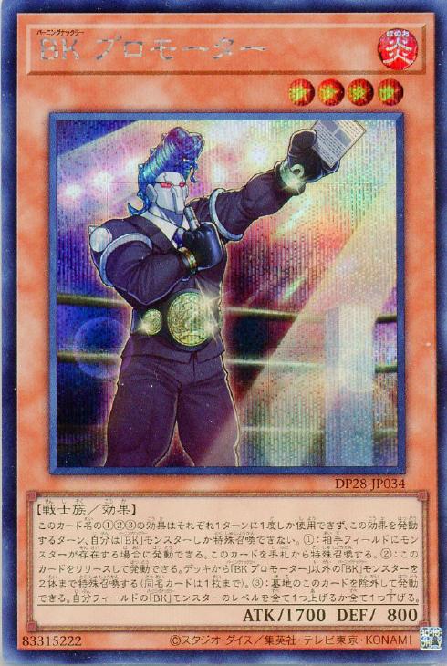 DP28-JP034 ＢＫ プロモーター SE