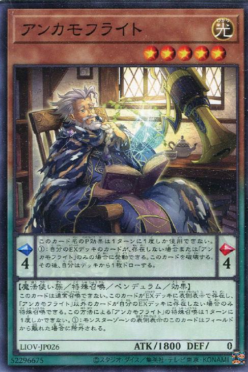 LIOV-JP026 アンカモフライト N