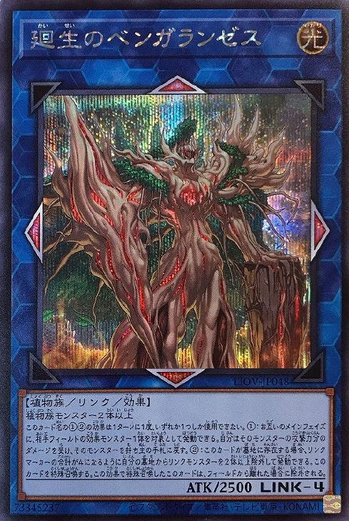 LIOV-JP048 廻生のベンガランゼス SE