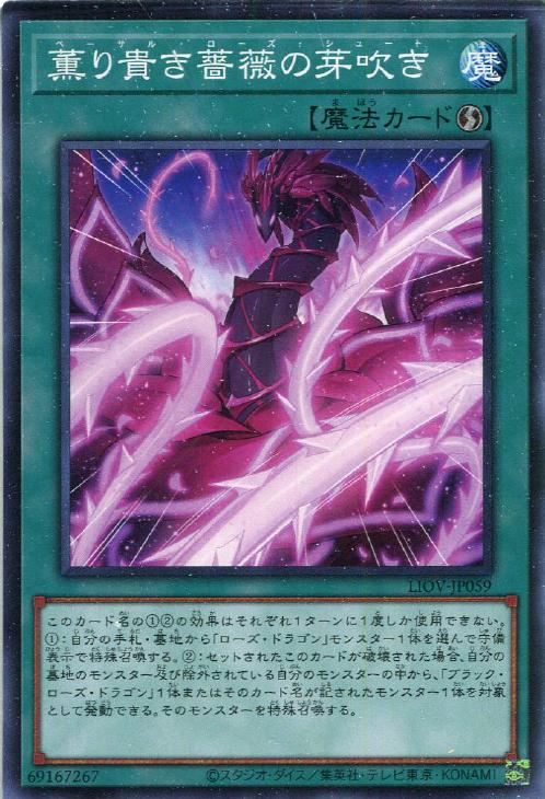 LIOV-JP059 薫り貴き薔薇の芽吹き N