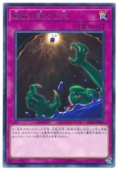 LVP2-JP065 底なし落とし穴 R