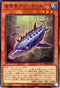 PHRA-JP027 貪食魚グリーディス N