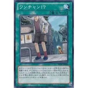 SD40-JP033 ワンチャン！？ N