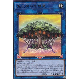 SLT1-JP033 聖天樹の大精霊 R