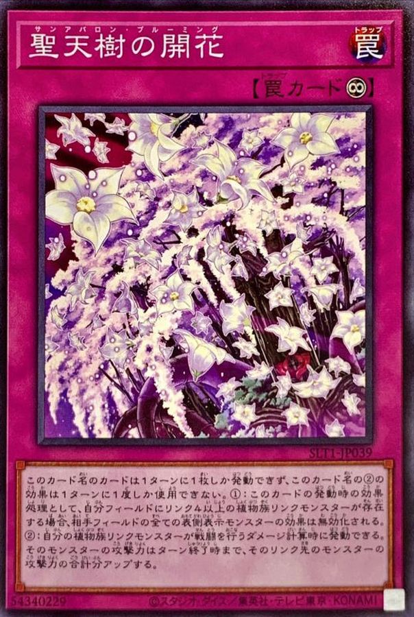 SLT1-JP039 聖天樹の開花 N