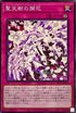 SLT1-JP039 聖天樹の開花 N