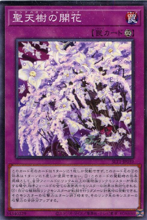 SLT1-JP039 聖天樹の開花 N