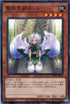 WPP2-JP043 聖座天嗣ストン N