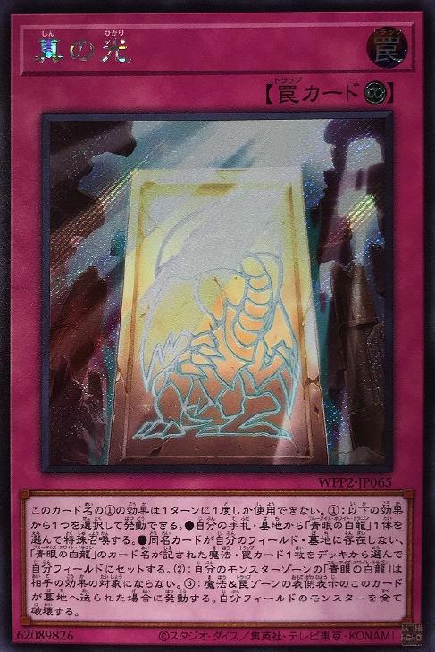 WPP2-JP065 真の光 SE