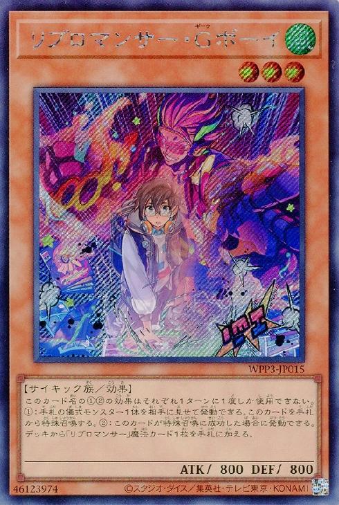 WPP3-JP015 リブロマンサー・Ｇボーイ SE