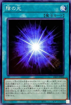 23PP-JP006 陰の光 N
