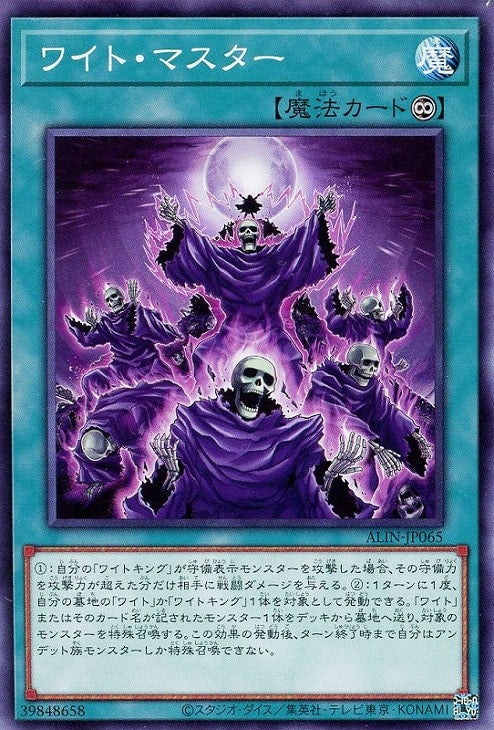 ALIN-JP065 ワイト・マスター N