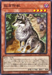 DBCB-JP026 孤高除獣 N