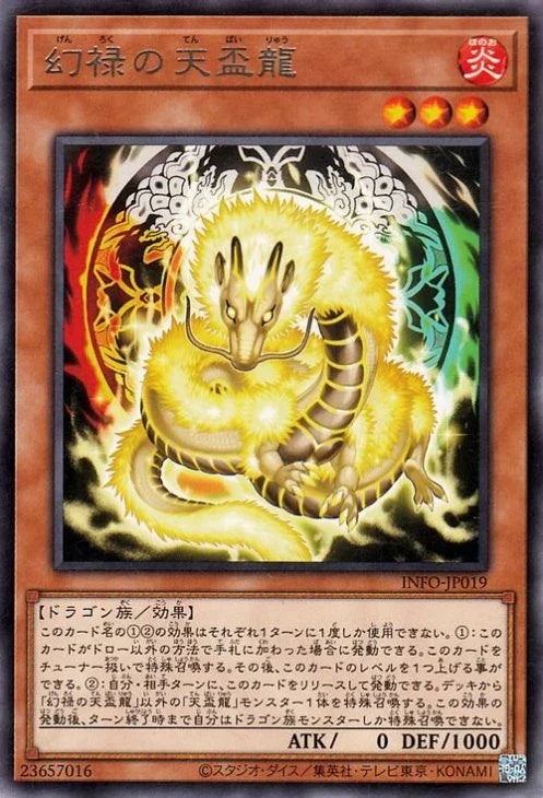 INFO-JP019 幻禄の天盃龍 R