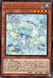 INFO-JP027 マルチャミー・プルリア R
