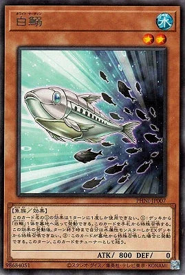 PHNI-JP007 白鰯 R