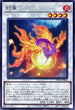 PHNI-JP044 灯魚 N