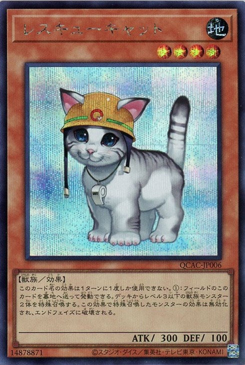 QCAC-JP006 レスキューキャット SE