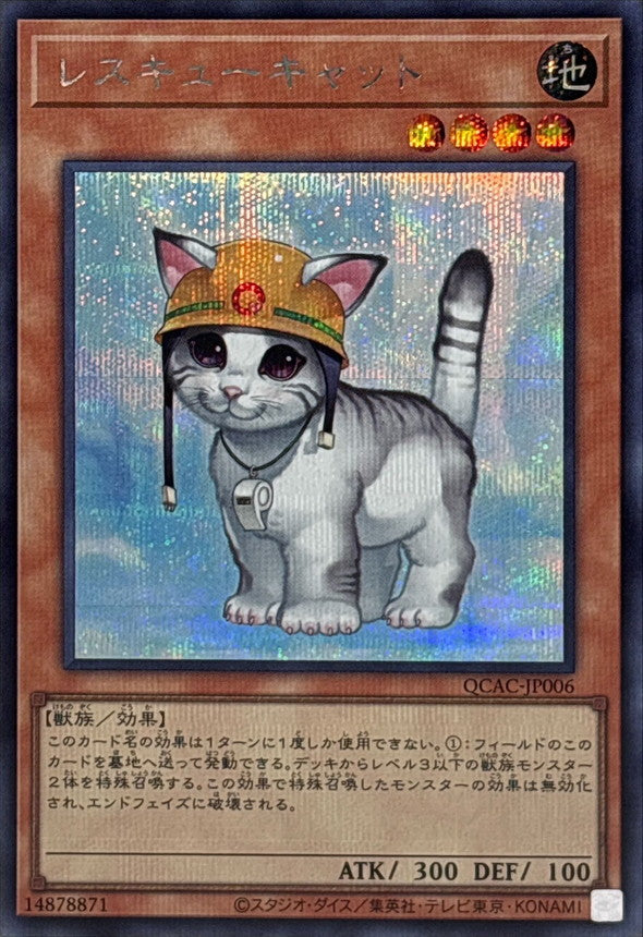 QCAC-JP006 レスキューキャット SE
