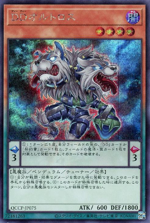 QCCP-JP075 DDオルトロス SE