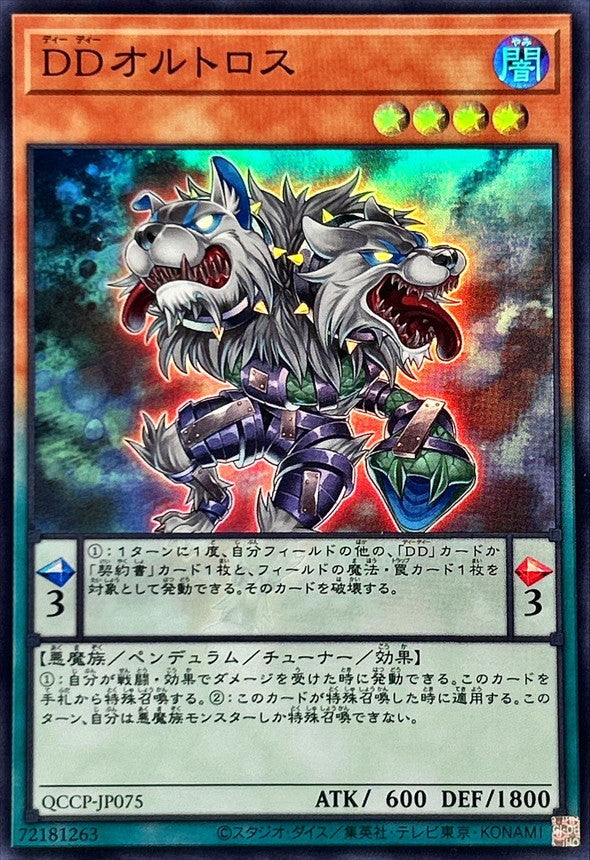 QCCP-JP075 DDオルトロス SR