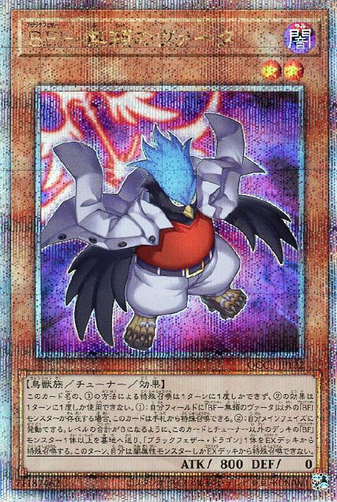 QCCP-JP132 BF-無頼のヴァータ QSE