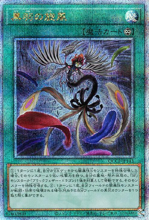 QCCP-JP143 黒羽の旋風 QSE