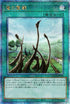 QCCP-JP194 竜の霊廟 QSE