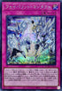 QCCU-JP024 フェイバリット・コンタクト SE